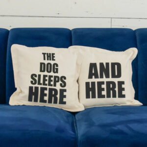 The Dog/Cat Sleeps Here... and Here... Not Here Throw Pillows