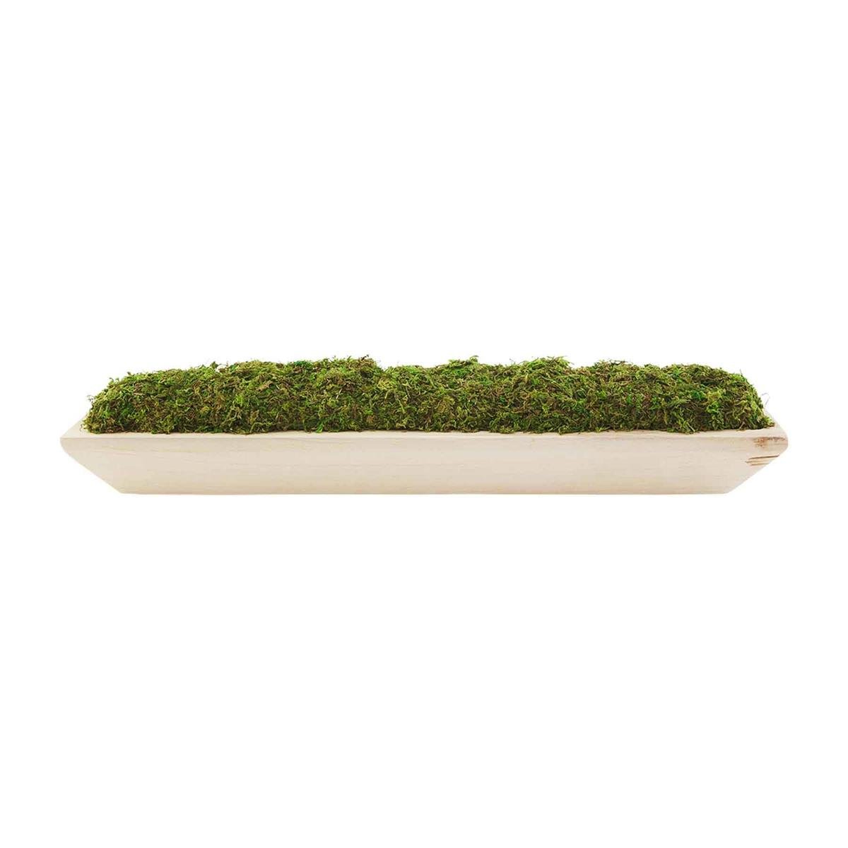 40930049.jpg Preserved Moss Tray - Image 3
