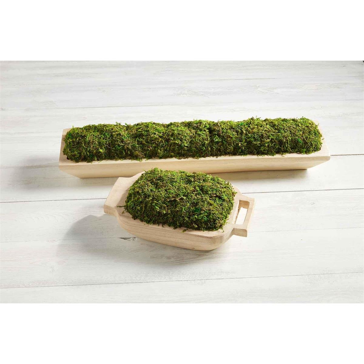 40930049_2.jpg Preserved Moss Tray - Image 2