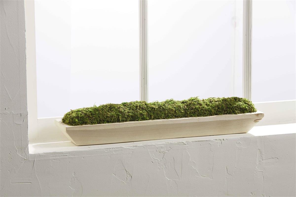 40930049_4.jpg Preserved Moss Tray