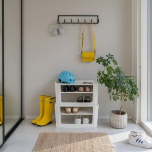 Module Shoe Storage Box with Lid
