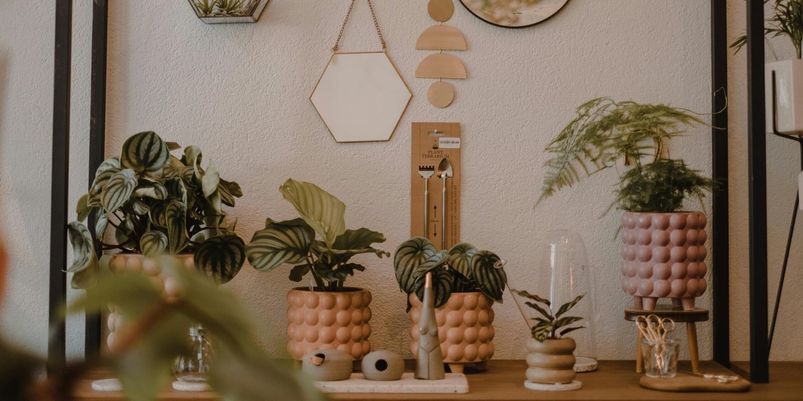 Collection of various decorative potted plants with green leaves on shelf with various figurines near wall with mirrors in creative room