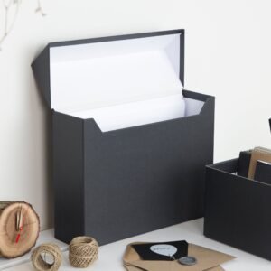 Filing Box With 12 Dividers- Lovisa
